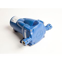Watermaster Automatic Pressure Pump      